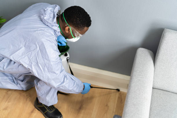 Best Real Estate Pest Inspections  in Newcastle, WA